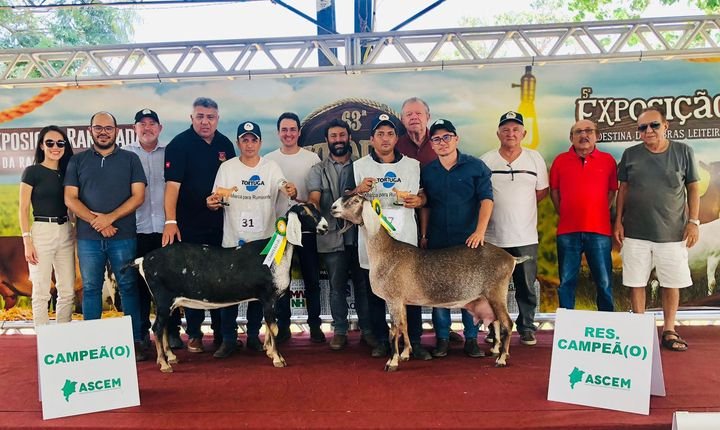 Amigos criadores reunidos na pista com animais campeões